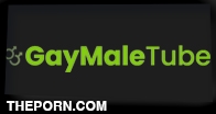 GayMaleTube