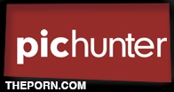 PicHunter